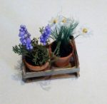 Miniature Dollhouse Potted Herb Plants in Wooden Crate Tutorial